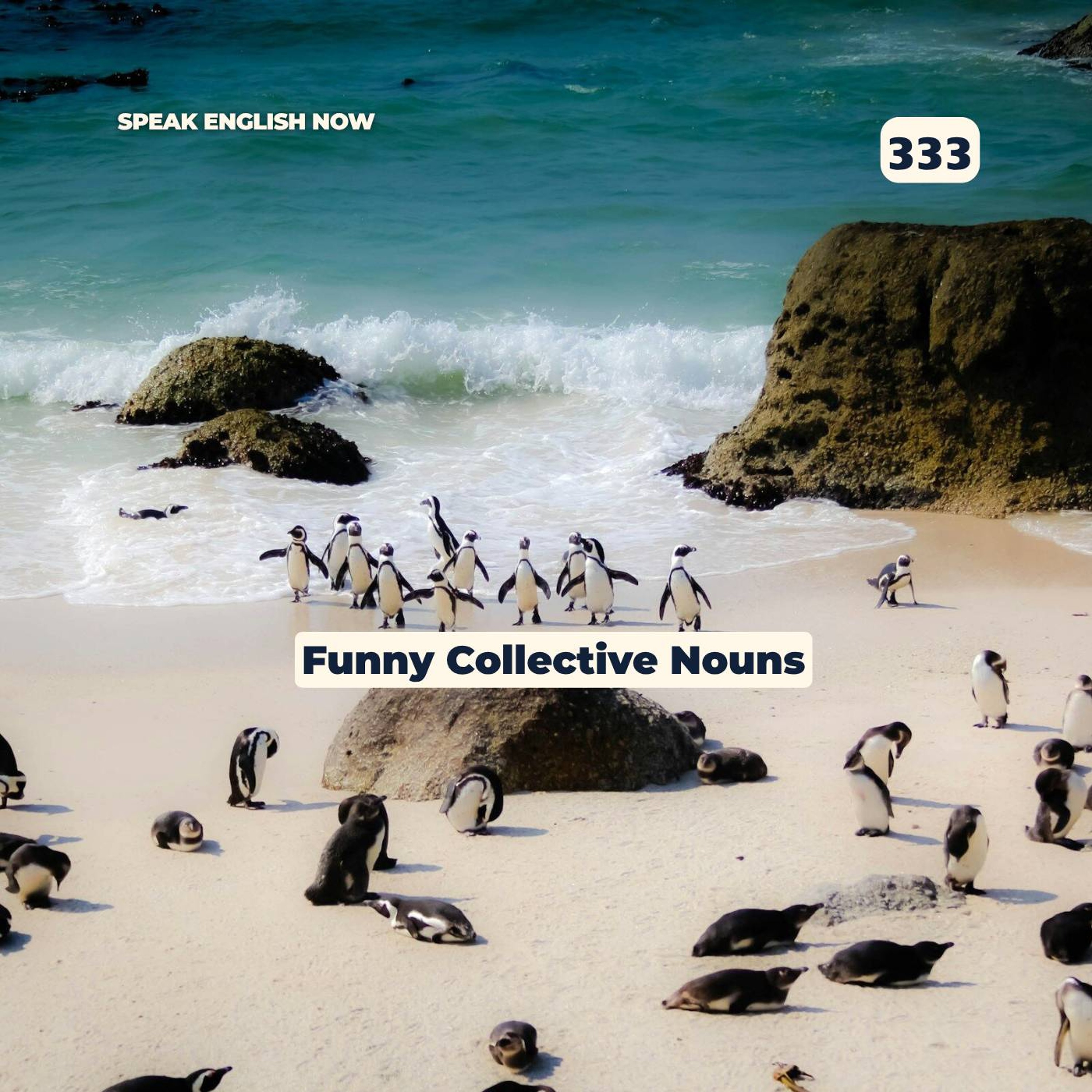 #333 Collective Nouns - Learn English with Funny Group Names episode artwork