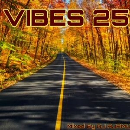 Vibes 25