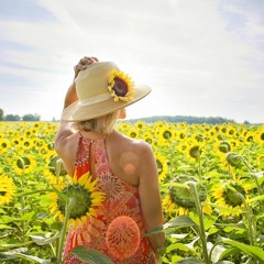 Rob Nilsson - Summer Outfit (Original Mix) Radio Edit