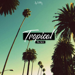 DJ LUCHSHIY - 🌴TROPICAL MIX🌴 VOL.3