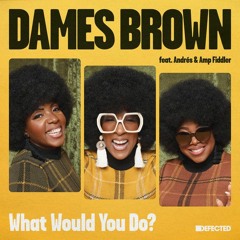 Dames Brown feat. Andrés & Amp Fiddler - What Would You Do? (Ed Hood Remix)