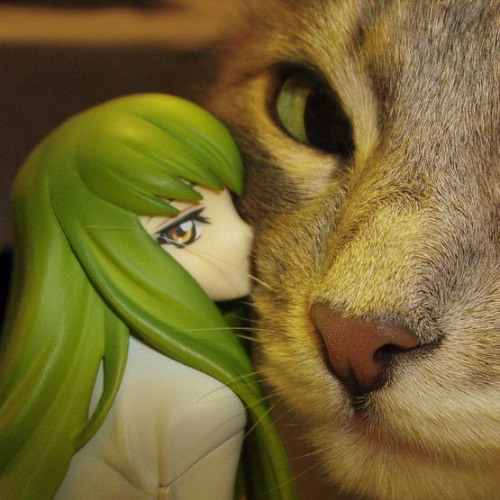 JUST FIX IT (headOnUrshoulder)