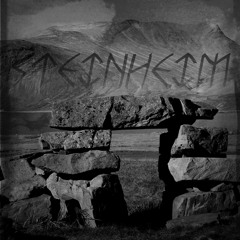 Steinheim - Gods And Punks