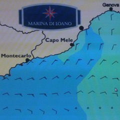 Galactic Heartbeat in MONTECARLO Night