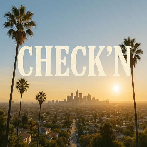 CHECK'N