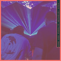 Abno b2b Puddlic @Artig X Hechelei (24.02.2024)