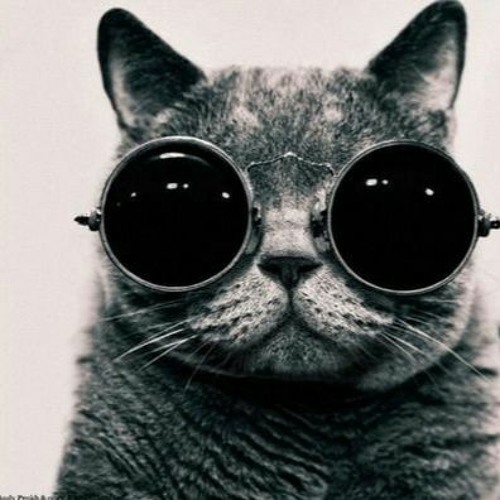 Class A, One Function, Parallel Dimension - Life Seems Like It's Only A Dream Bootleg by Electron