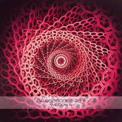 Windom R - Callidoscope '25 III