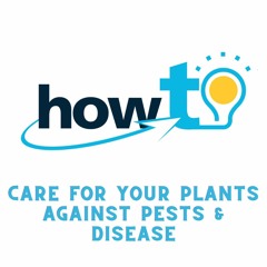 HOW TO CARE FOR YOUR PLANTS AGAINST