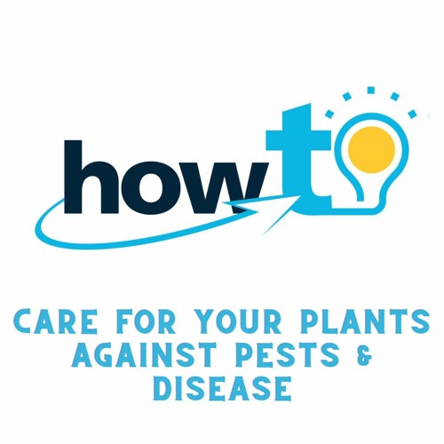 HOW TO CARE FOR YOUR PLANTS AGAINST