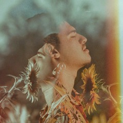 Malive - Butterfly
