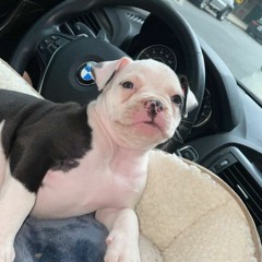 Friday morning mix 3/8/24