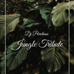 DJ Purchase - Jungle Tribute
