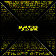 True Love Never Dies (Rework)