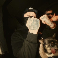 BASHER X MORG - 2024 FREESTYLE