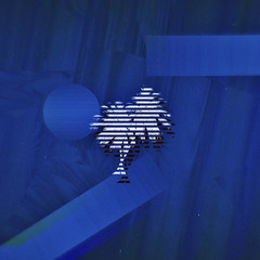 Night Sounds