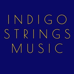 The Way You Look Tonight - Indigo Strings