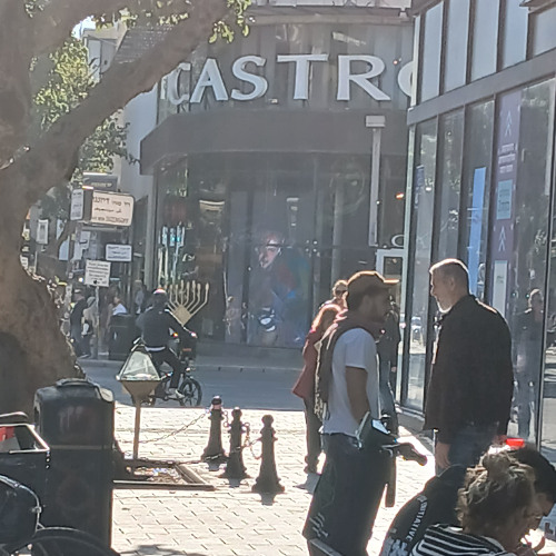 castro cherry tree