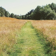 The Journey