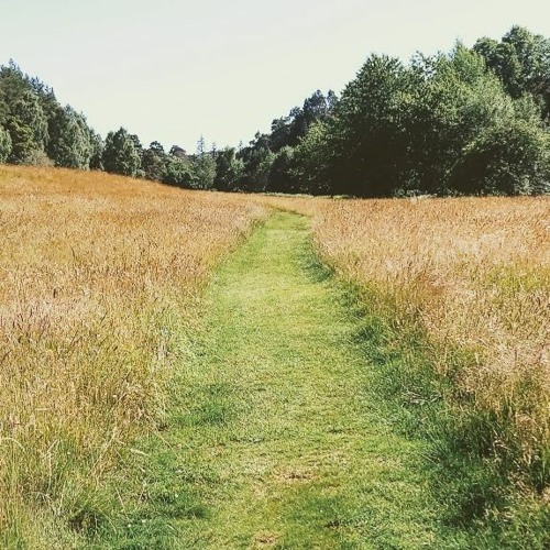 The Journey