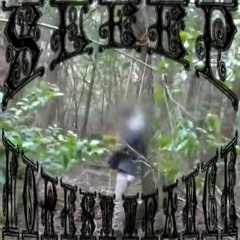 Sleep - Forest Trance