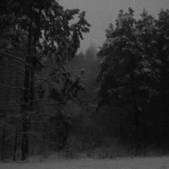 Kalmankantaja - Yhdessä Kuoleman Säkeet Kohtaavat