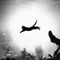 reupload CKY RIP RIP