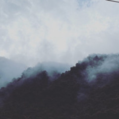 Raining in the woods