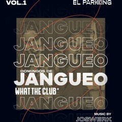 JOSWERK - JANGUEO SESSION VOL.1 (COMMERCIAL & REGGAETON)