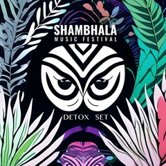 Shambhala Music Festival Detox Set
