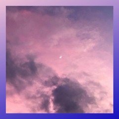 FUNKY PURPY [STBB 696]