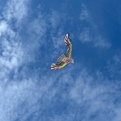 Surfy New Year ! 🌞🎸