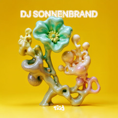 Premiere: DJ Sonnenbrand - Till Late [FLUIDEP3]