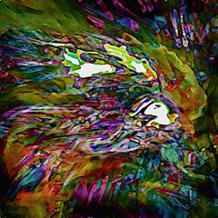 Quantum Cymatics, Prebirth