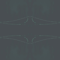 Wired Bass Shadows #891