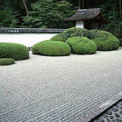 moments in the zen garden