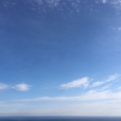 Psalms 詩篇 시편