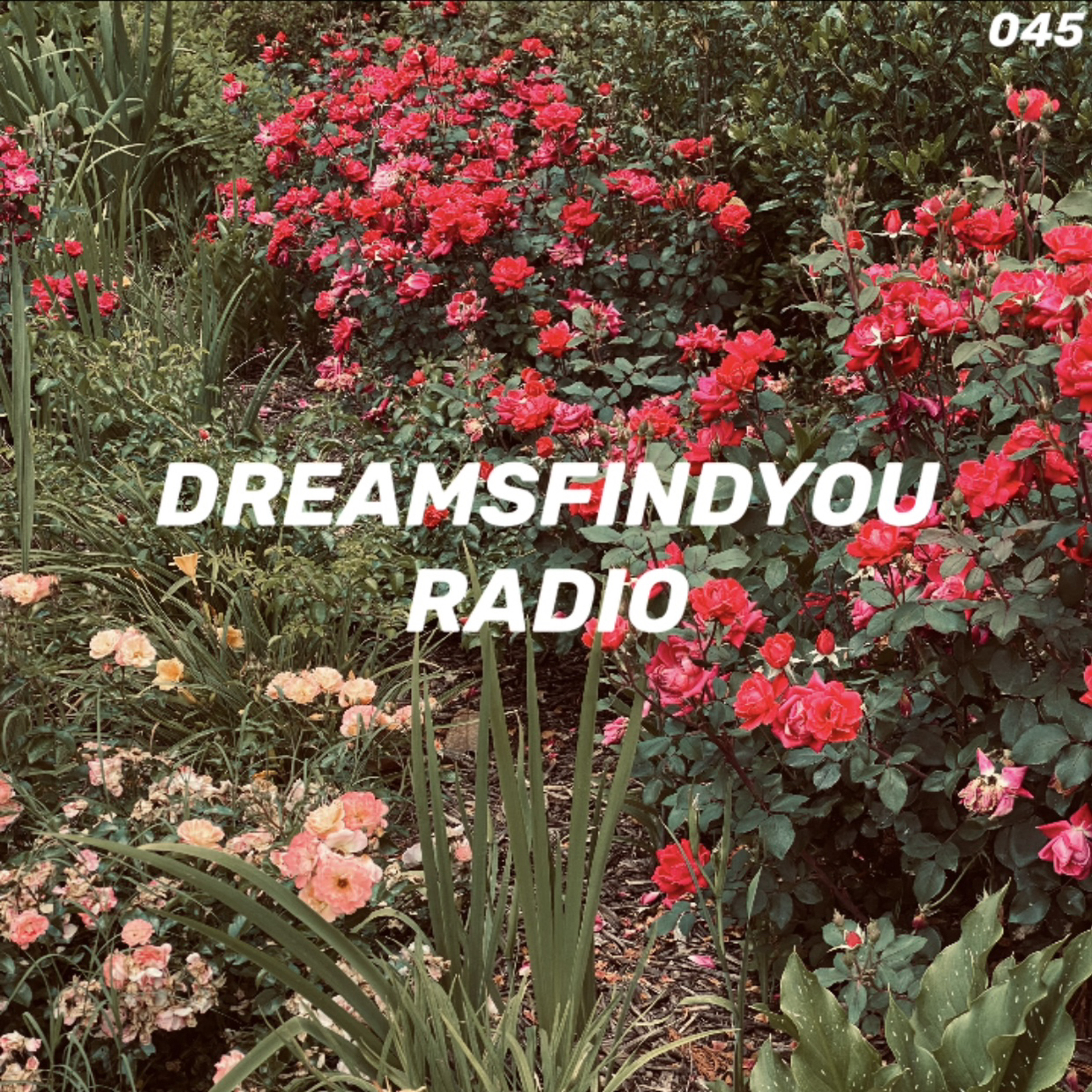 DFY Radio 1.31.24 episode artwork