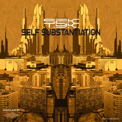 [Sektyk]  [Self Substantiation]  [MUSICLANCER021]