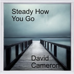 Steady How You Go
