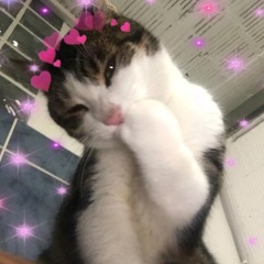 Kerosene (amore toxico)