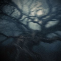 ugly tree (jolst)