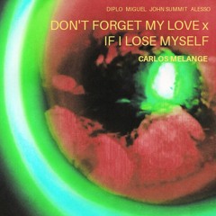 Don't Forget My Love x If I Lose Myself