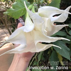 Invocation w. Zarina [22.10.24]