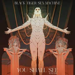Black Tiger Sex Machine - You Shall See (ft. Wasiu)