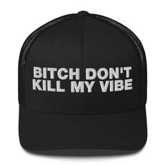 bitch don't kill my vibe*(di4umi)
