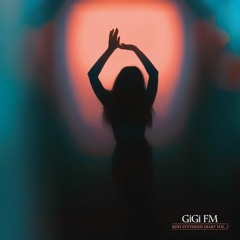 GiGi FM - Kiwi Synthesis Diary Vol.2 [SRN001]