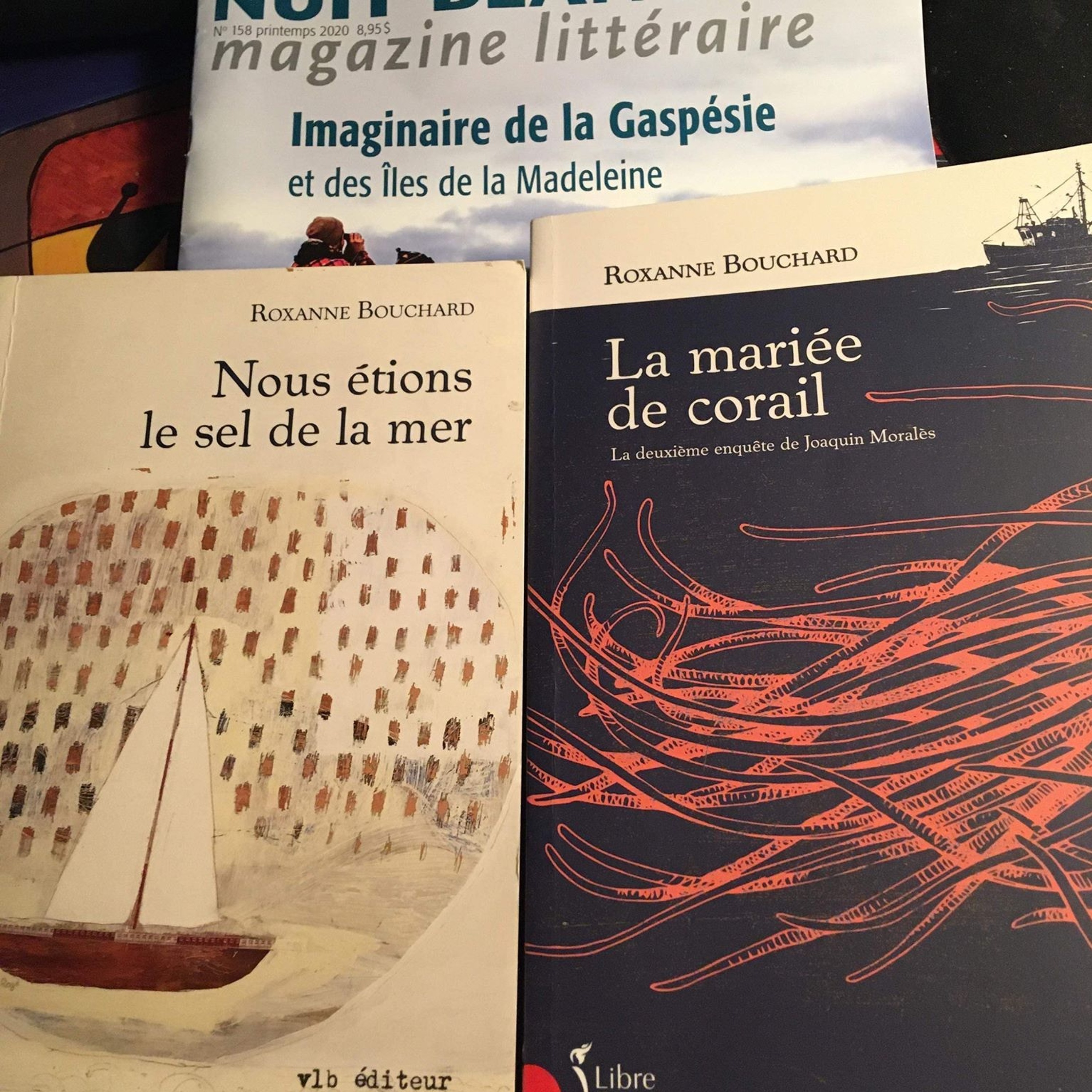 LITTÉRATURE | Barbel Reinke nous emmène sur l’océan avec deux livres de Roxanne Bouchard episode artwork