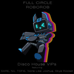 Never Say It feat. Nii (Disco House VIP)