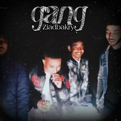 ZiadBakry Gang